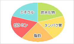 栄養素　用語集